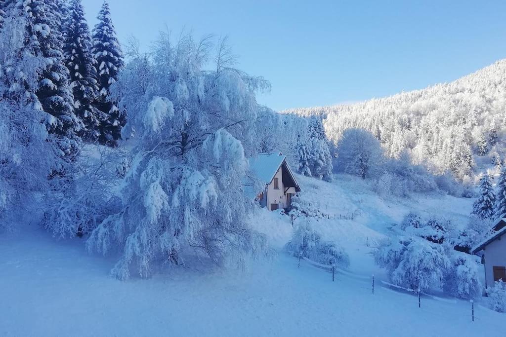 Studio Chaleureux A Villard De Lans Екстер'єр фото